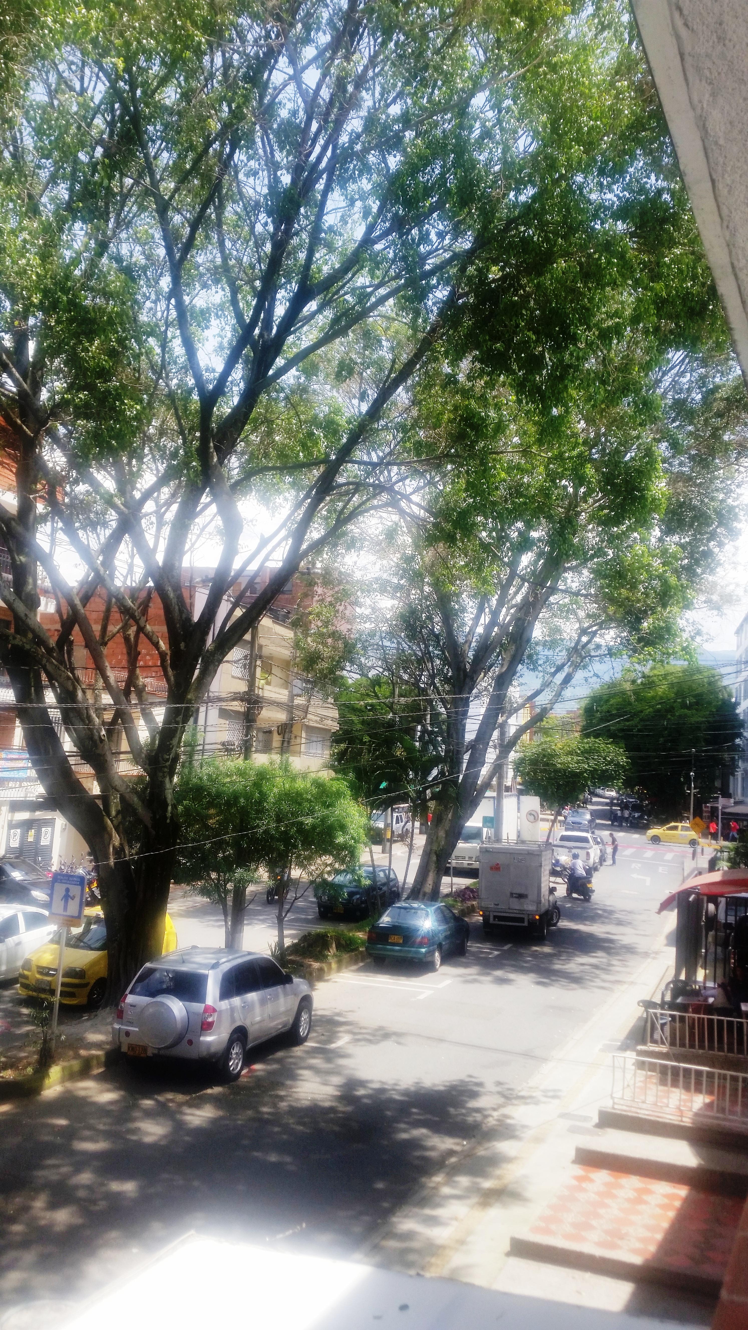 Hotel Quinta Avenida เมเดยิน ภายนอก รูปภาพ